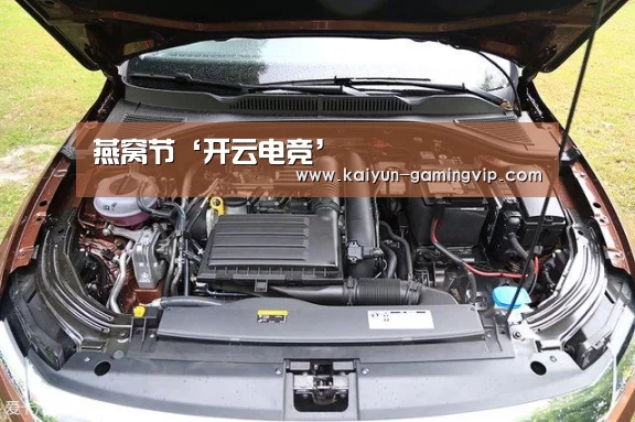 开云赛事