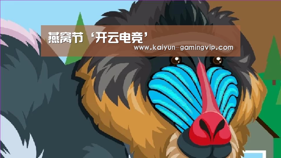 开云赛事