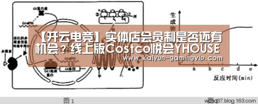 开云电竞