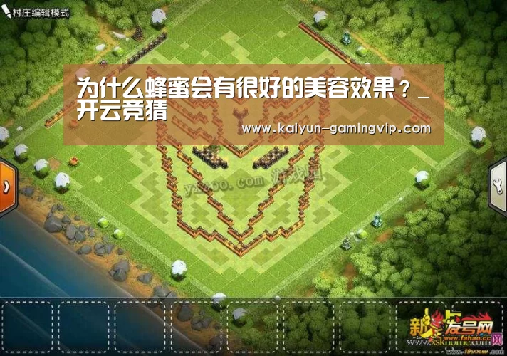 开云竞猜