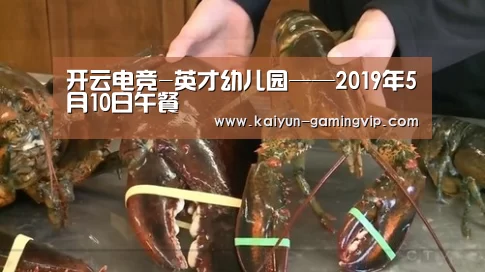 开云电竞