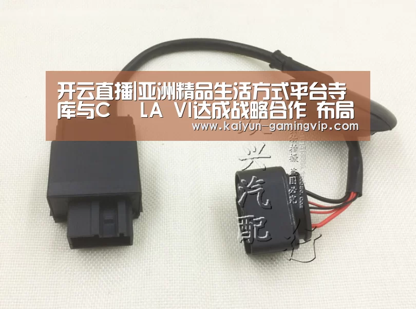 开云竞猜