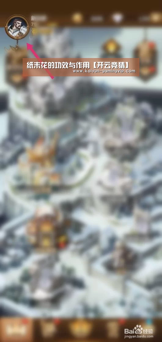 纸末花的功效与作用【开云竞猜】(图2) 开云直播