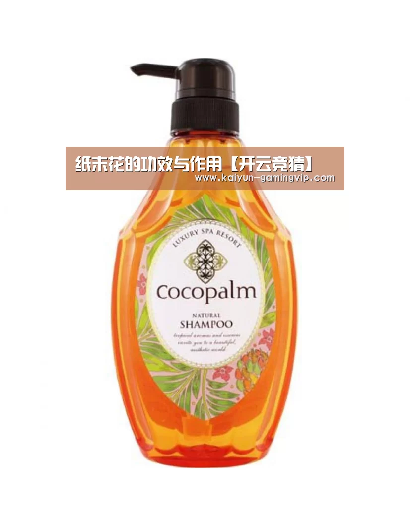纸末花的功效与作用【开云竞猜】(图3) 开云直播